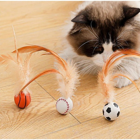 Interactive Bouncy Cat Toy