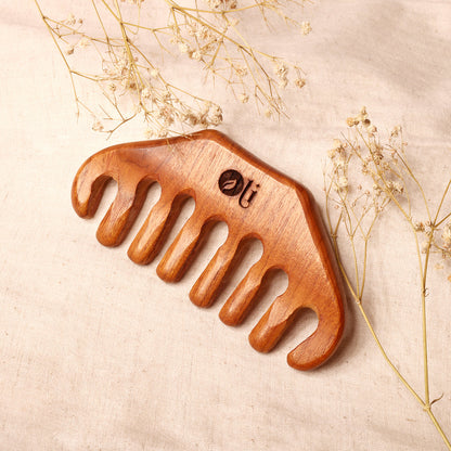 Wooden Scalp Masager