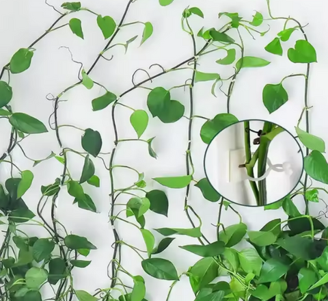 Plant Wall Clips (PACK OF 20)