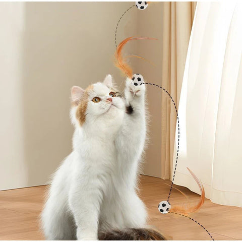 Interactive Bouncy Cat Toy