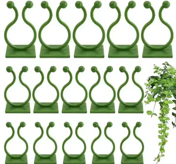 Plant Wall Clips (PACK OF 20)