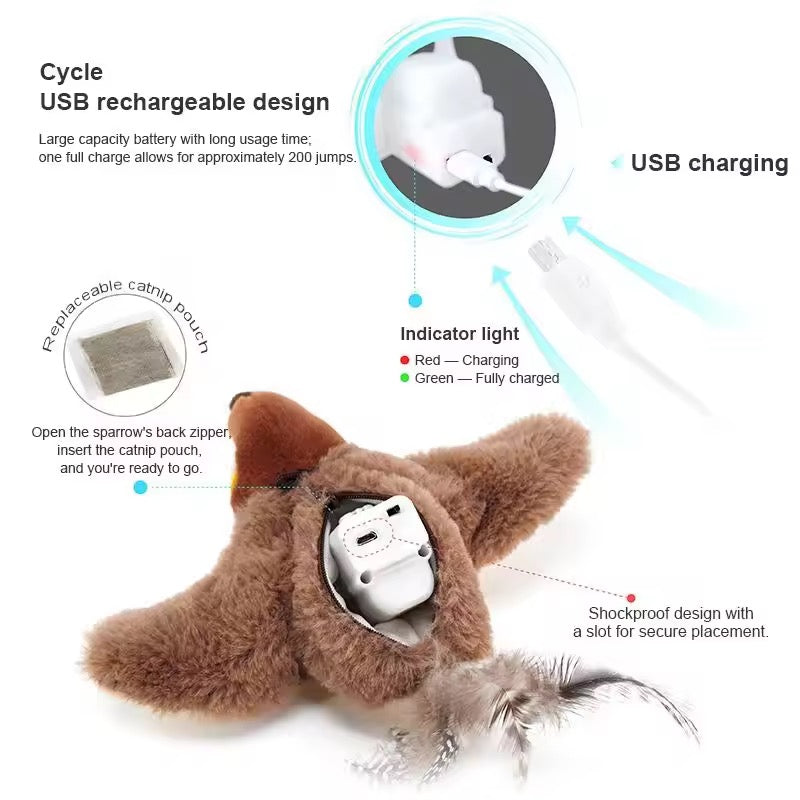 Ultimate Cat Entertainment Toy!
