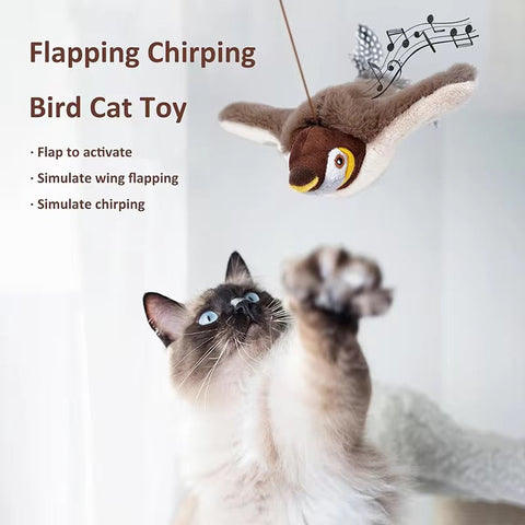 Ultimate Cat Entertainment Toy!