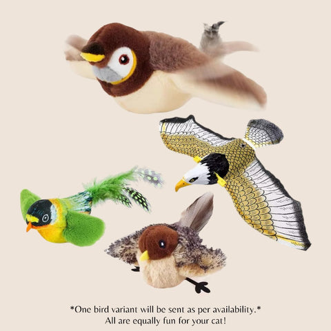 Ultimate Cat Entertainment Toy!