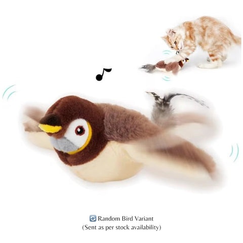 Ultimate Cat Entertainment Toy!