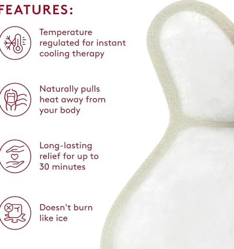 Reuseable Cooling Bra Inserts