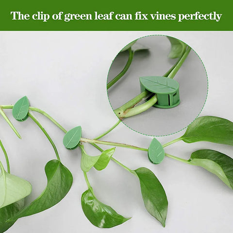 Plant Climbing Clips – Garden Vine Support Holders