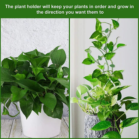 Plant Climbing Clips – Garden Vine Support Holders