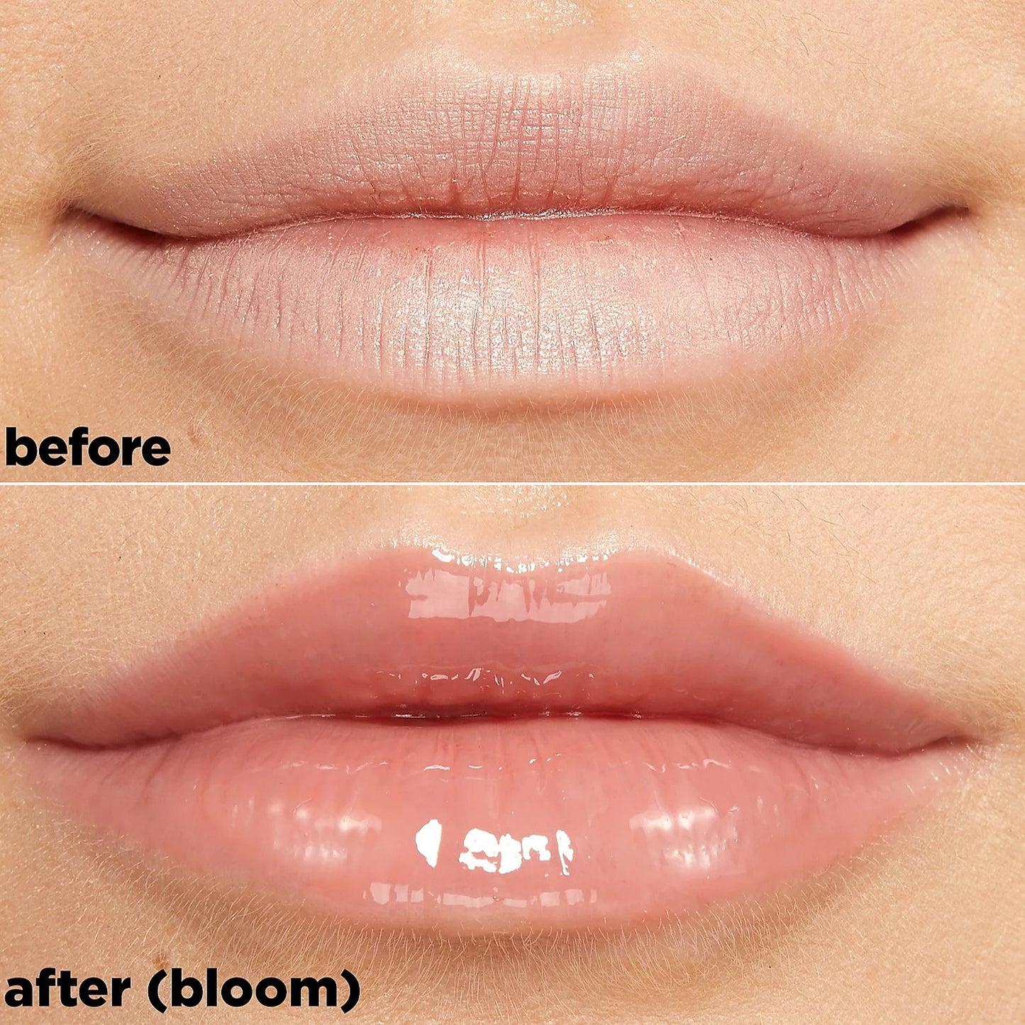 Moisturizing Lip Balm