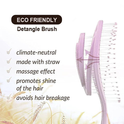 Eco Friendly Detangle Brush