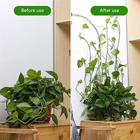 3-IN-1 PLANT CLIMBING CLIPS