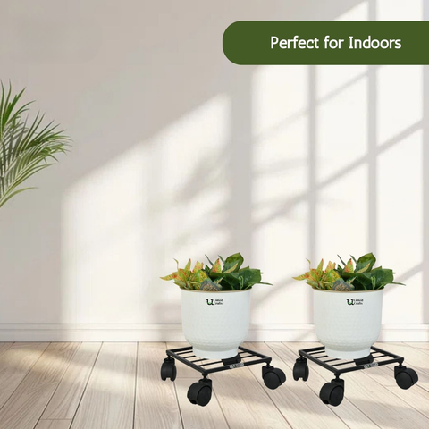 Rozy Wheel Pot Stands for Planters